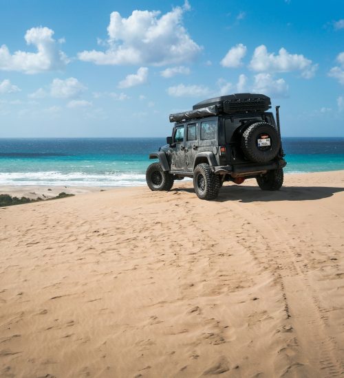 HappyDaysZante - Jeep Safari (3)