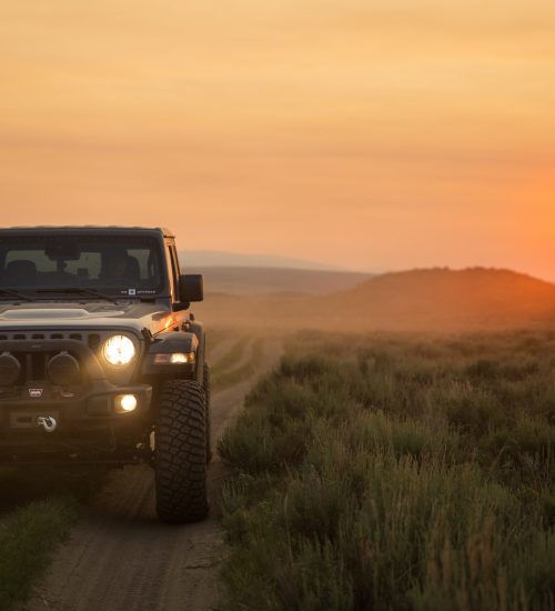 HappyDaysZante - Jeep Safari